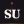 Silicon University