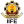 IIFE