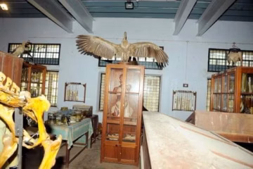 Alagappa Government Arts College (AGAC) campus gallery