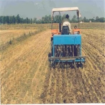 Central Institute of Agricultural Engineering (CIAE) campus gallery