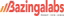 Bazinga Labs