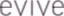 Evive Analytics