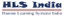 HLS India ltd