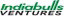 Indiabulls Ventures Limited