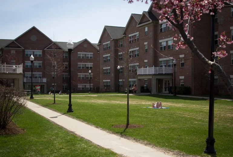 Stevenson University cover
