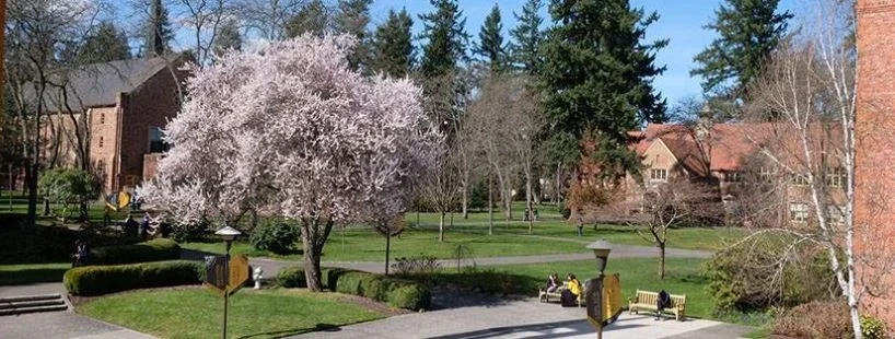 Pacific Lutheran University cover