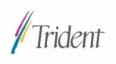 Abhishek Industries(Trident Group)