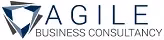 Agile Business Consultancy