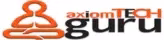 Axiom Techguru Pvt Ltd