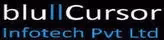 BluCursor Infotech Pvt. Ltd.