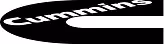 Cummins India Ltd