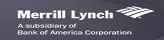 DSP Merrill Lynch