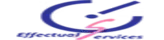 Effectual Knowledge Services