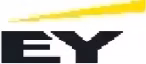 EY Consulting