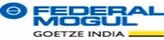 Federal Mogul Auto Parts