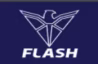 Flash Electronics