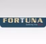 Fortuna Engineering