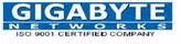 Gigabyte Networks
