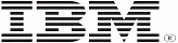 IBM Strategy