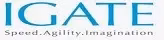 IGate Global Solutions