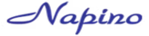 Napino Auto & Electronics Limited