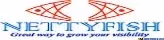 Nettyfish Networks