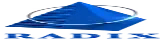 Radixweb