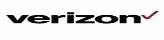 Verizon Data Services